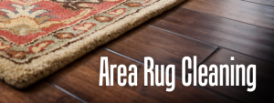 pro rug cleaning